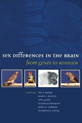 Sex Differences in the Brain - 