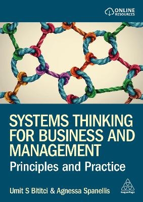 Systems Thinking for Business and Management - Professor Umit S Bititci, Dr Agnessa Spanellis
