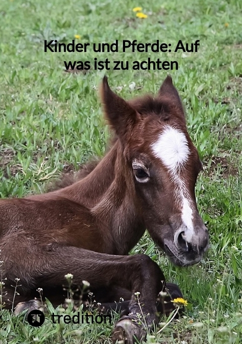 Kinder und Pferde: Auf was ist zu achten -  Moritz