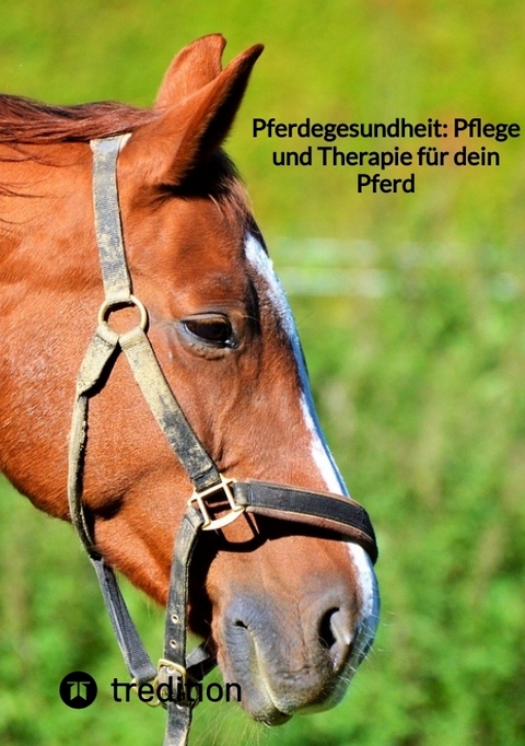 Pferdegesundheit: Pflege und Therapie für dein Pferd -  Moritz