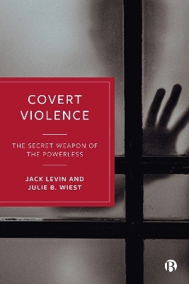 Covert Violence - Jack Levin, Julie B. Wiest