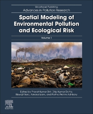 Spatial Modeling of Environmental Pollution and Ecological Risk - 