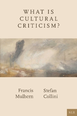 What Is Cultural Criticism? - Francis Mulhern, Stefan Collini