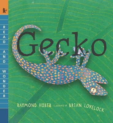 Gecko - Raymond Huber