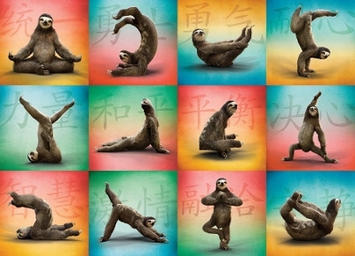 Sloth Yoga Jigsaw -  Willow Creek Press