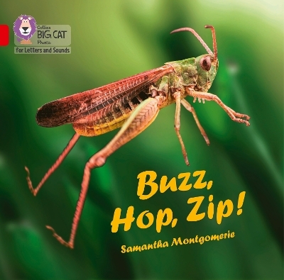 Buzz, Hop, Zip! Big Book - Samantha Montgomerie