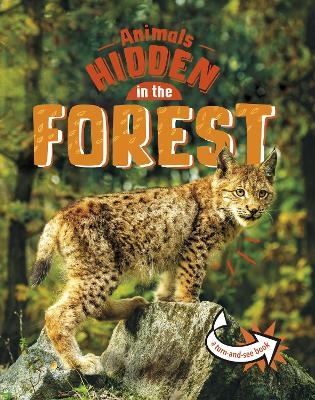 Animals Hidden in the Forest - Jessica Rusick