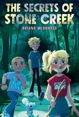 The Secrets of Stone Creek - Briana McDonald