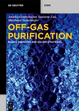 Off-Gas Purification - Annika Grafschafter, Susanne Lux, Matthäus Siebenhofer