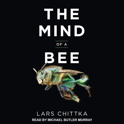 The Mind of a Bee - Lars Chittka