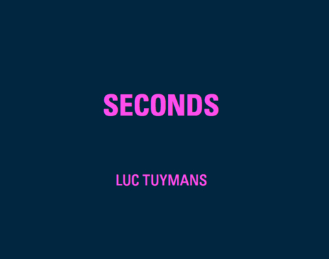 Luc Tuymans. Seconds - 