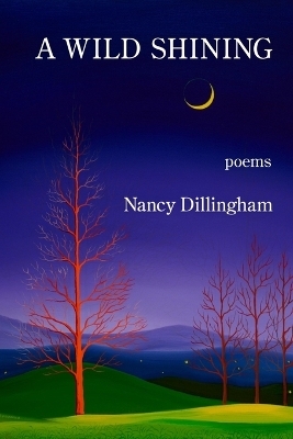 A Wild Shining - Nancy Dillingham