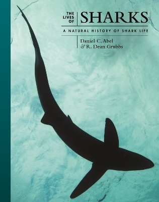 The Lives of Sharks - Daniel Abel, Dr. R. Dean Grubbs
