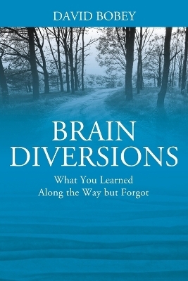 Brain Diversions - David Bobey