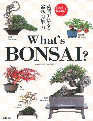 Whats Bonsai - Takashi Matsui