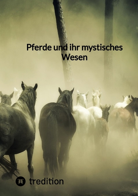 Pferde und ihr mystisches Wesen -  Moritz