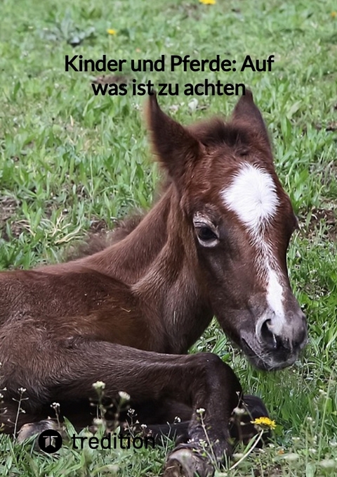 Kinder und Pferde: Auf was ist zu achten -  Moritz