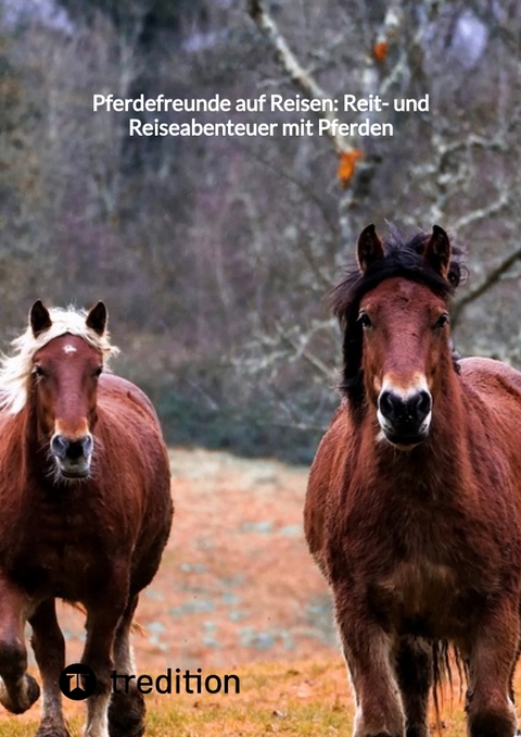 Pferdefreunde auf Reisen: Reit- und Reiseabenteuer mit Pferden -  Moritz