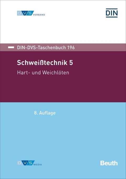 DIN-DVS-Taschenbuch 196 - Buch mit E-Book