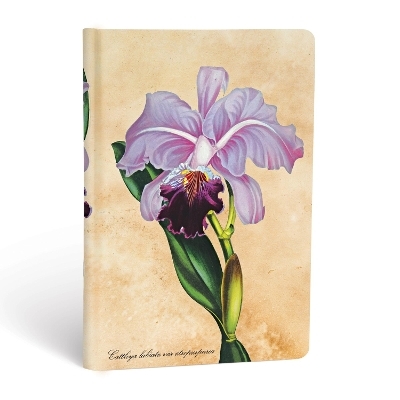 Brazilian Orchid Mini Lined Hardcover Journal -  Paperblanks