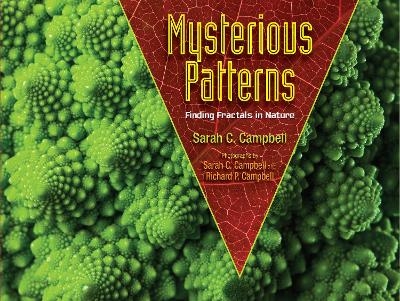 Mysterious Patterns - Sarah C. Campbell