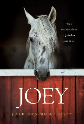 Joey - Jennifer Marshall Bleakley