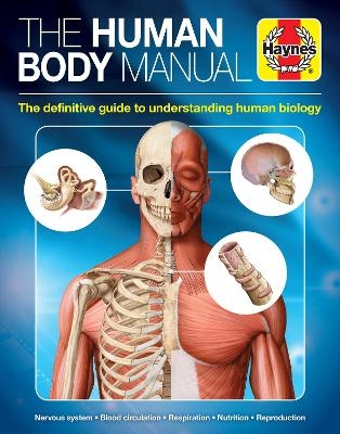 The Human Body Manual -  QA International