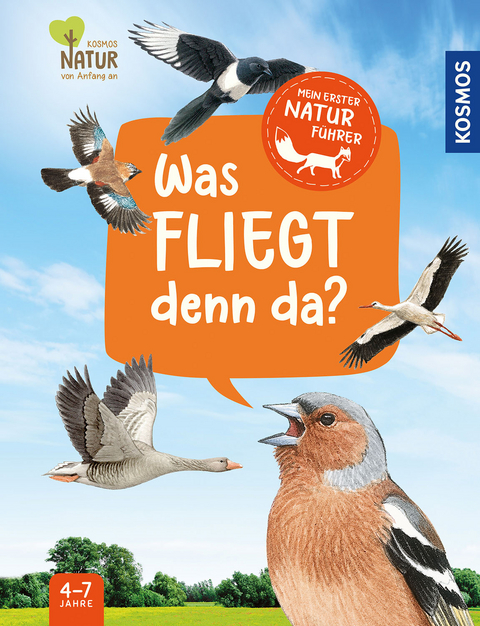 Was fliegt denn da? - Lea Hille