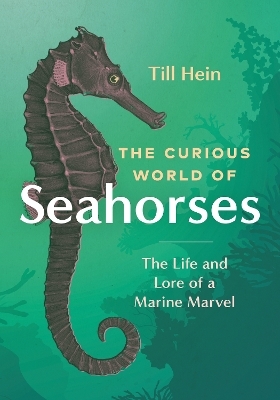The Curious World of Seahorses - Till Hein