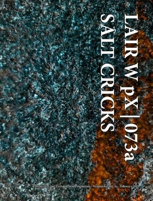 LAIR W pX 073a Salt Cricks -  Wetdryvac