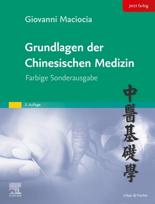 Grundlagen der chinesischen Medizin - Giovanni Maciocia