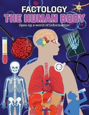 Factology: The Human Body