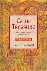 Celtic Treasure - Newell, J. Philip