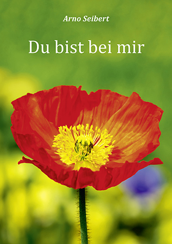 Du bist bei mir - Arno Seibert