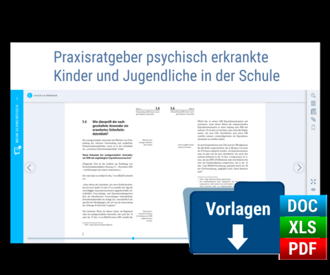 Praxisratgeber psychisch erkrankte Kinder und Jugendliche in der Schule