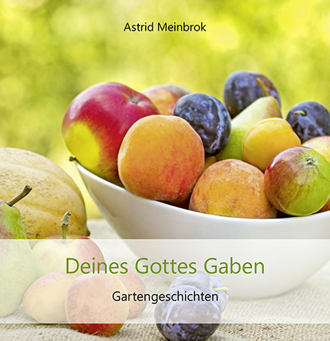 Deines Gottes Gaben - Astrid Meinbrok