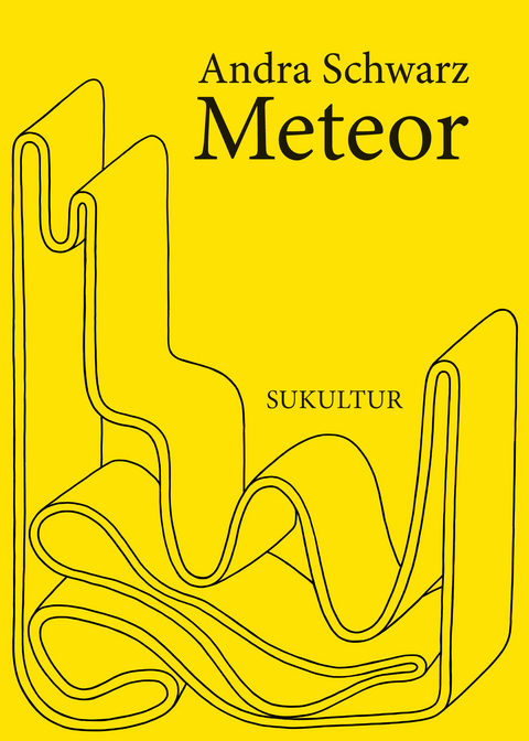 Meteor - Andra Schwarz
