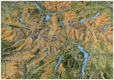 The Fir Tree Aerial Map of the Lake District - Richard Chandler