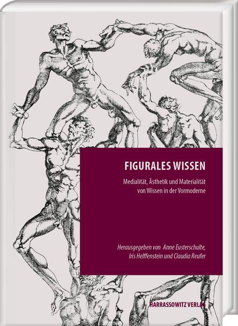 Figurales Wissen - 