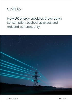 How UK energy subsidies drove down consumption, pushed up prices and reduced our  prosperity - Dr John Constable