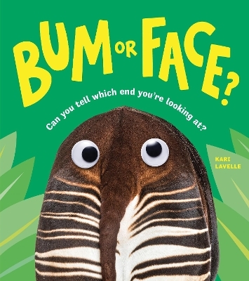 Bum or Face - Kari Lavelle