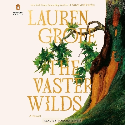 The Vaster Wilds - Lauren Groff