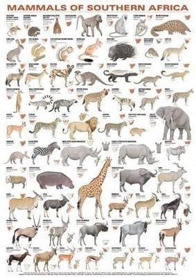 Mammals of Southern Africa - Struik Nature Struik Nature