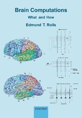 Brain Computations - Edmund T. Rolls