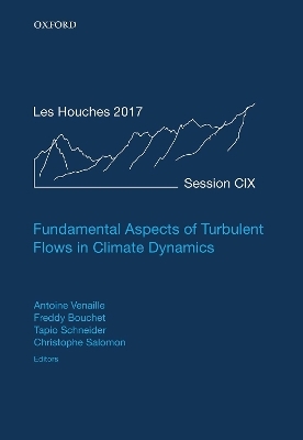 Fundamental Aspects of Turbulent Flows in Climate Dynamics - 