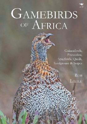 Gamebirds of Africa - Rob Little