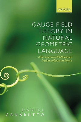 Gauge Field Theory in Natural Geometric Language - Daniel Canarutto