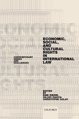 Economic, Social, and Cultural Rights in International Law - 