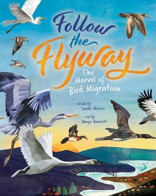 Follow the Flyway - Sarah Nelson