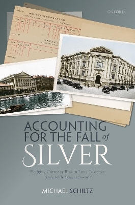 Accounting for the Fall of Silver - Michael Schiltz